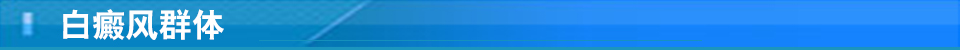 白癜風(fēng)群體